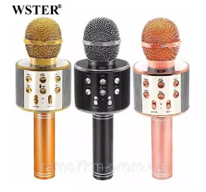 Колонка-микрофон 2в1 Wster WS-858